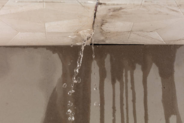 Professional Flood Damage Cleanup technician working in Centreville, MS